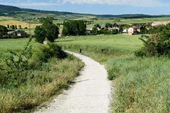 Fields on the outskirts of Pamplona