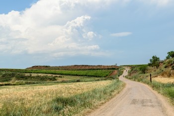 Trail from Najera to Azofra