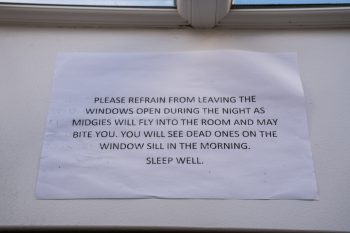Midgie warning by the window